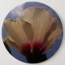 Search for white rose badges Birthday