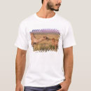 Search for goby tshirts Animal