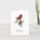 Search for red cardinals cards Beautiful