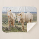 Search for horse blankets Prairie