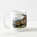 Search for catamount mugs Puma concolor