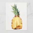 Search for half and half postcards Vintage