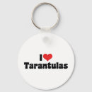 Search for spiders key rings Insect