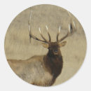 Search for bull elk stickers Wapiti