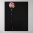 Search for single object posters Black background