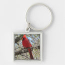 Search for cardinal key rings Wildlife
