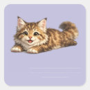Search for maine coon cats stickers Cat lover