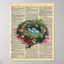 Search for spring bird posters Illustration