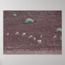Search for namibia art Desert