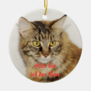 Search for maine coon christmas tree decorations Pet