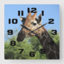 Search for giraffe face art Animal