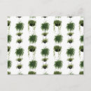 Search for baskets postcards Green