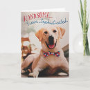 Search for best compliments cards Friend