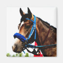 Search for horse race magnets Racing