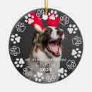 Search for cat in frame christmas tree decorations Dogs
