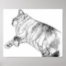 Search for sleeping beauty posters Cat