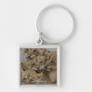 Search for cheetah cub key rings Cheetahs