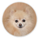 Search for dog lover knobs and pulls Cute