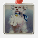 Search for tricks christmas tree decorations Dog