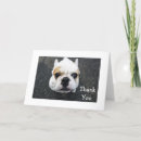 Search for bulldog thank you cards Thanks