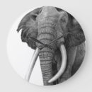 Search for elephant drawing art Wildlife