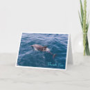 Search for bottlenose cards Dolphin