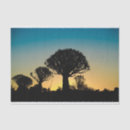 Search for tree silhouette tissue paper Nature
