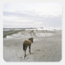 Search for loneliness stickers Animal
