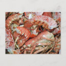 Search for heap postcards Food