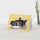 Search for tortoiseshell cards Kitty
