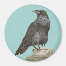 Search for halloween kitchen accessories Raven