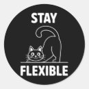 Search for yoga cat stickers Spiritual