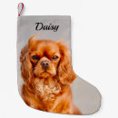 Search for best friend christmas stockings Pet