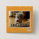 Search for flavours badges I can has cheezburger