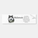 Search for alaskan malamutes bumper stickers Breed