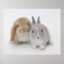 Search for lop posters Togetherness