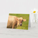 Search for cow get well cards Thinking of you