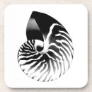 Search for nautilus shell coasters White