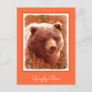 Search for wildlife art postcards Grizzly bear