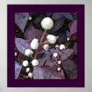Search for multi region art Purple