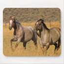 Search for horse mouse electronics Herd