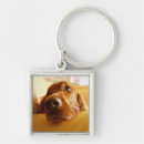 Search for sofa key rings Indoors