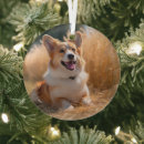 Search for pets christmas tree decorations For her