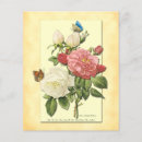Search for botanic flyers Flowers