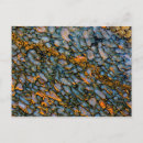 Search for black dinosaur postcards Gemstone