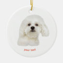 Search for maltese christmas tree decorations White