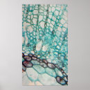 Search for micrography Abstract