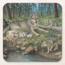 Search for grey wolves Forest