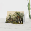 Search for audubon cards Bird