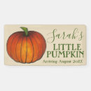 Search for pumpkin baby shower banners October